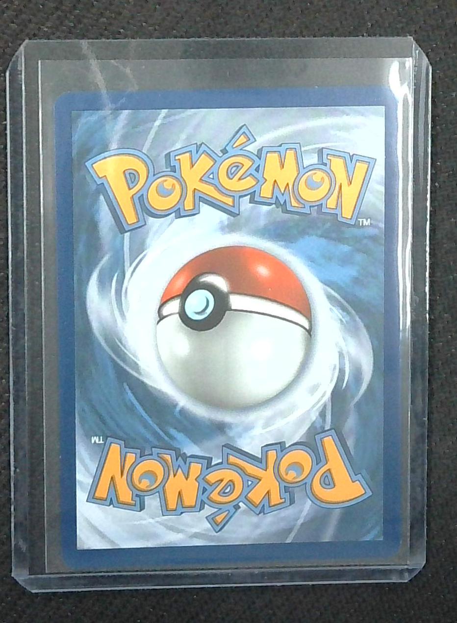 Pokemon Salamence VMAX 194/189 Rainbow Rare SECRET RARE Darkness Ablaze