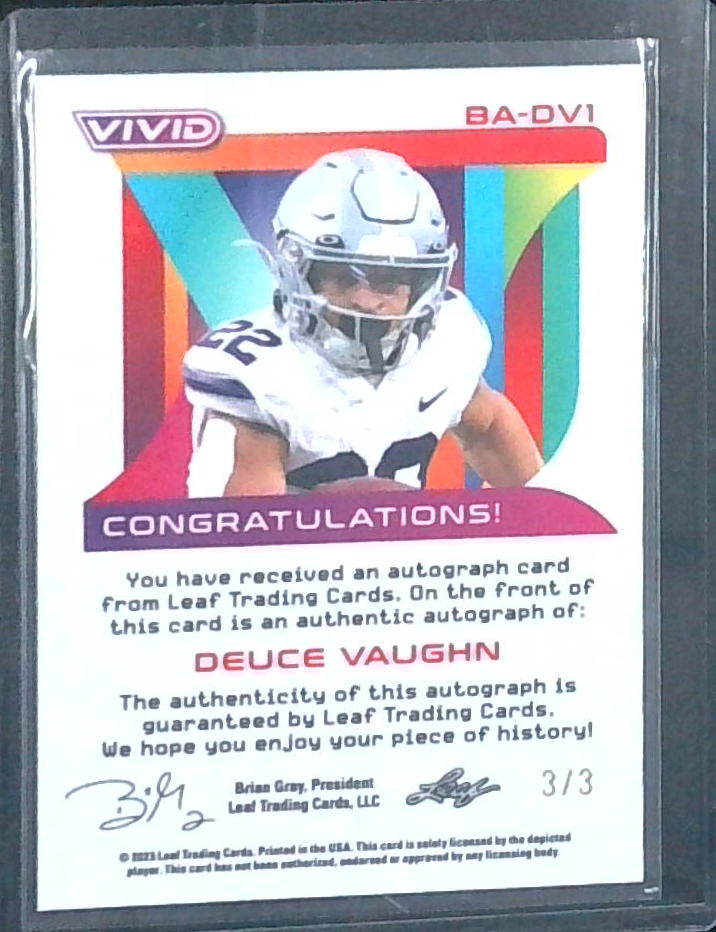 2023 LEAF VIVID DEUCE VAUGHN AUTO 3/3