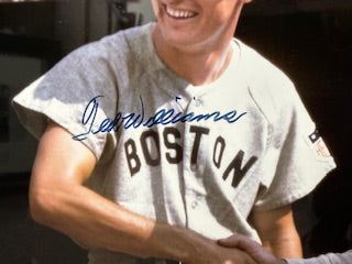 Ted Williams Signed Picture