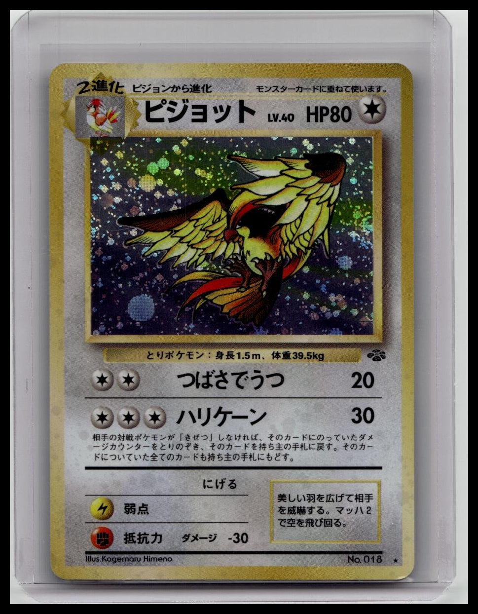 Pokemon Japanese Pidgeot Holo No.018 Jungle Set