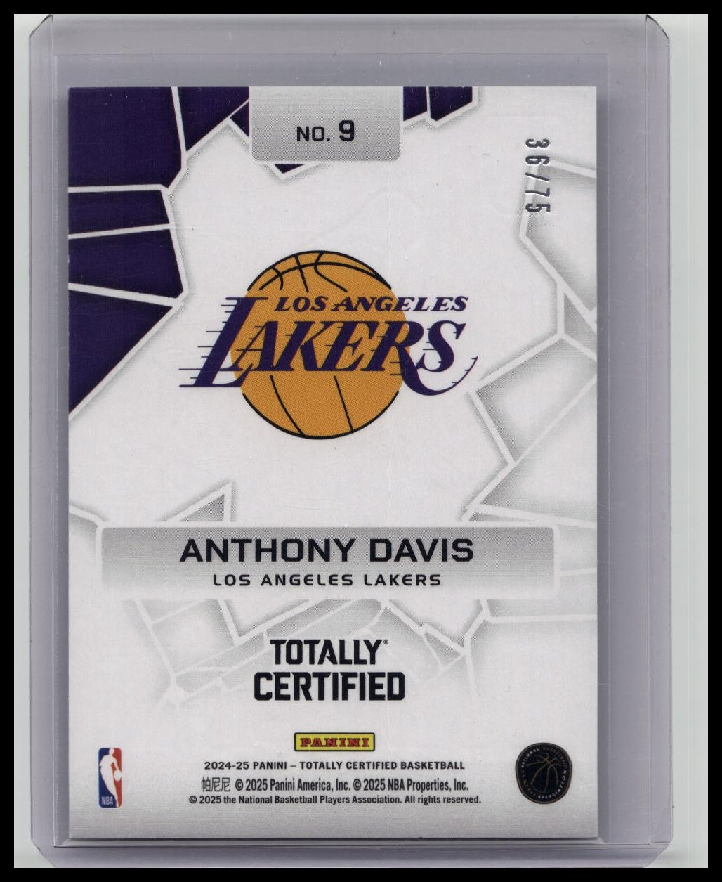 2024-25 Panini Totally Certified - Rock the Rim Anthony Davis /75