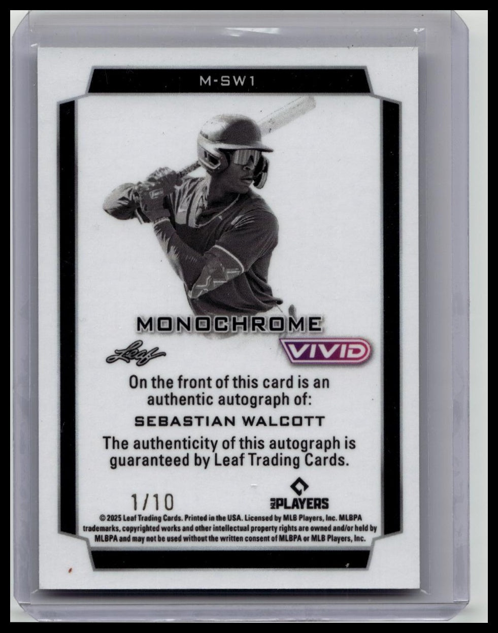 2025 Leaf Vivid Monochrome Sebastian Walcott Auto /10
