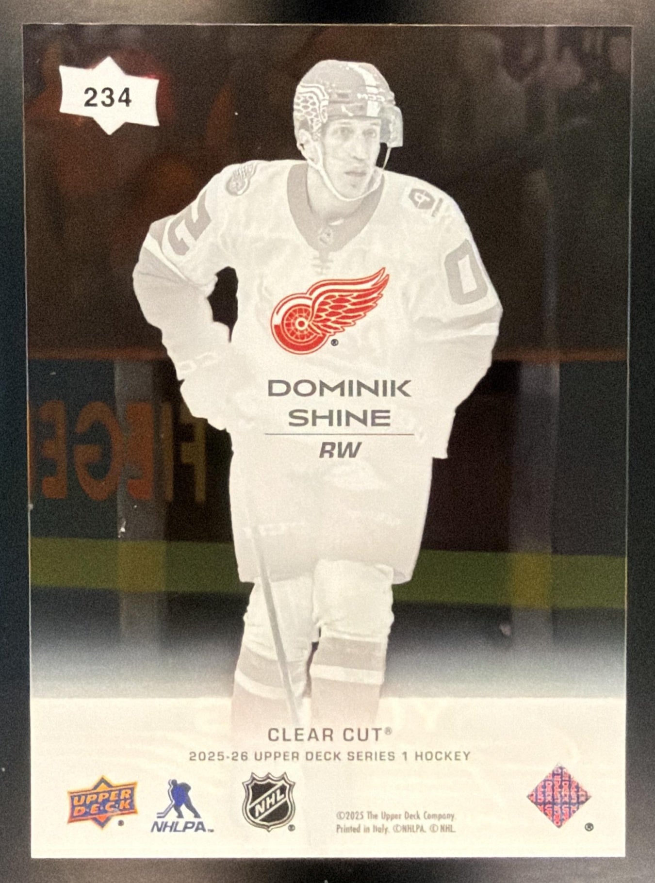 2025-26 Upper Deck Series 1 Dominik Shine #234 Clear Cut Young Guns RC Red Wings — back