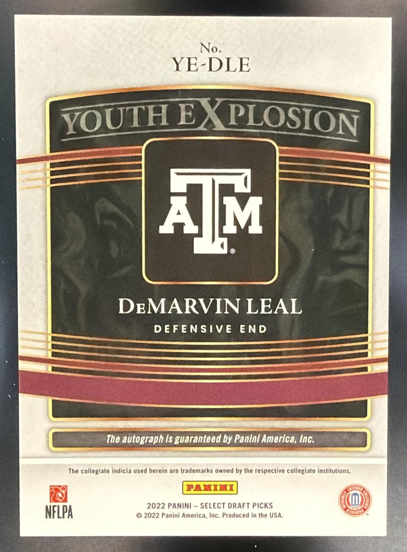 2022 Panini Select Draft Picks DeMarvin Leal Youth Explosion Signatures RC Auto — back