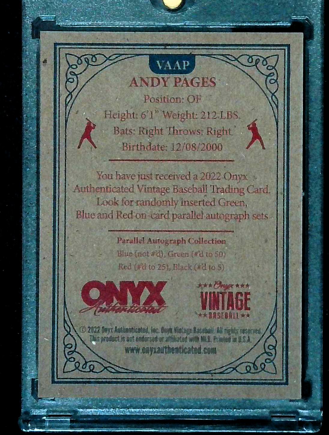 Andy Pages 2022 Onyx Vintage Auto Blue Ink #VAAP Auto