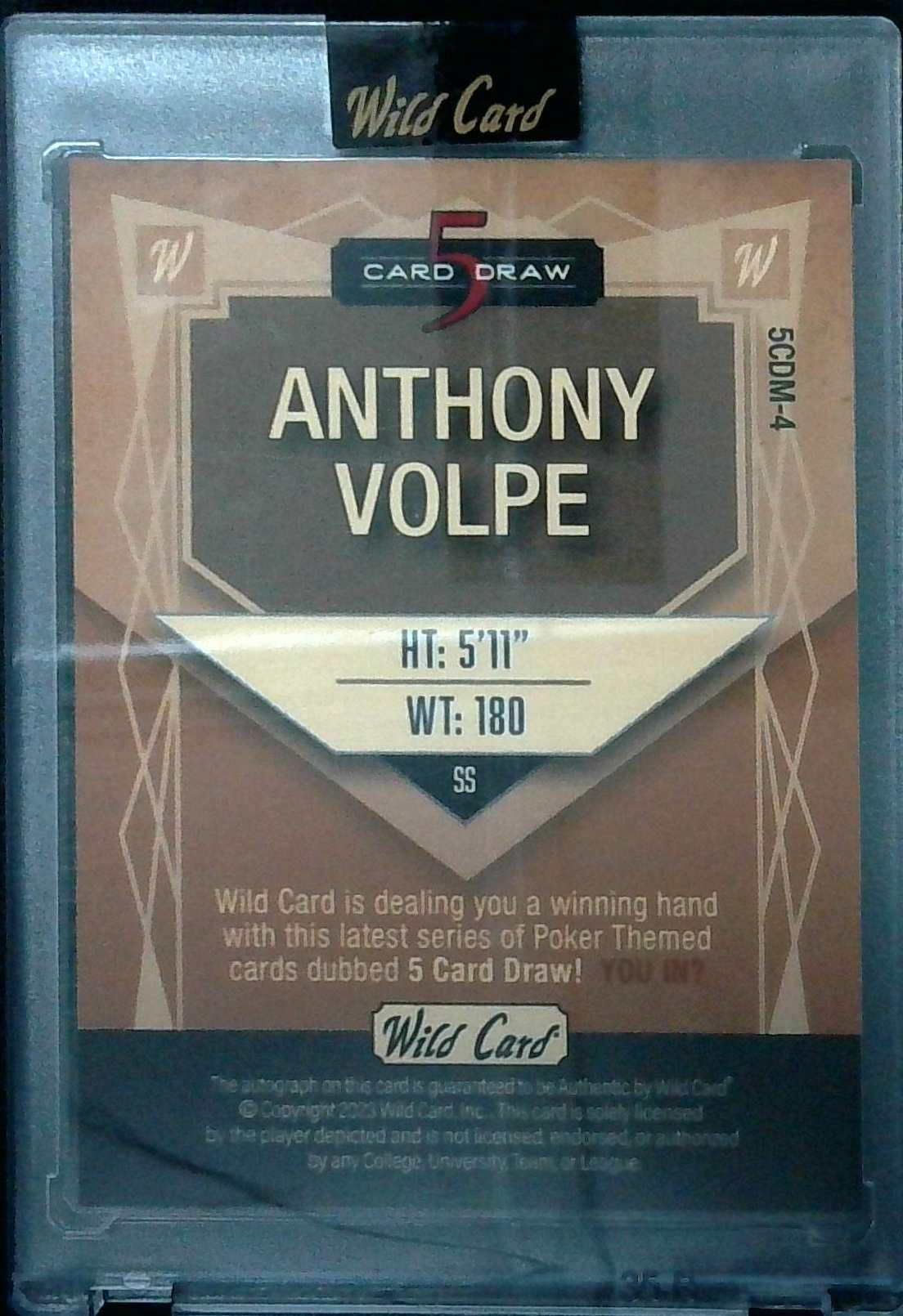 2023 Wild Card 5 Card Draw Anthony Volpe Auto #'d 1/2 Yankees