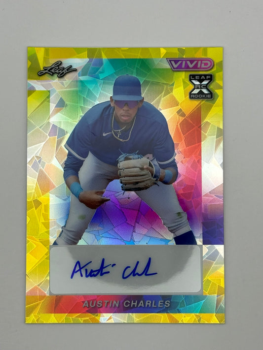 2023 Leaf Vivid Austin Charles Auto /10