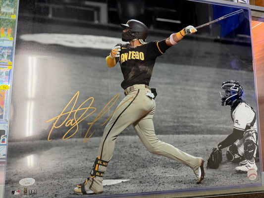Padres Fernando Tatis Jr. Autographed 16x20 Photo Signed!!
