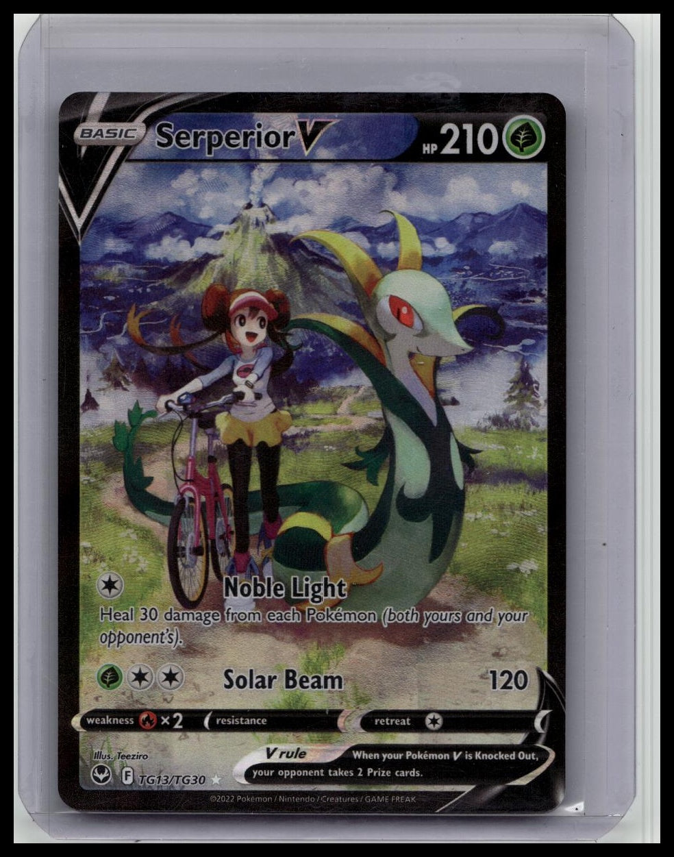 Serperior V TG13/TG30 Holo V Rare Silver Tempest Trainer Gallery Pokémon Holo