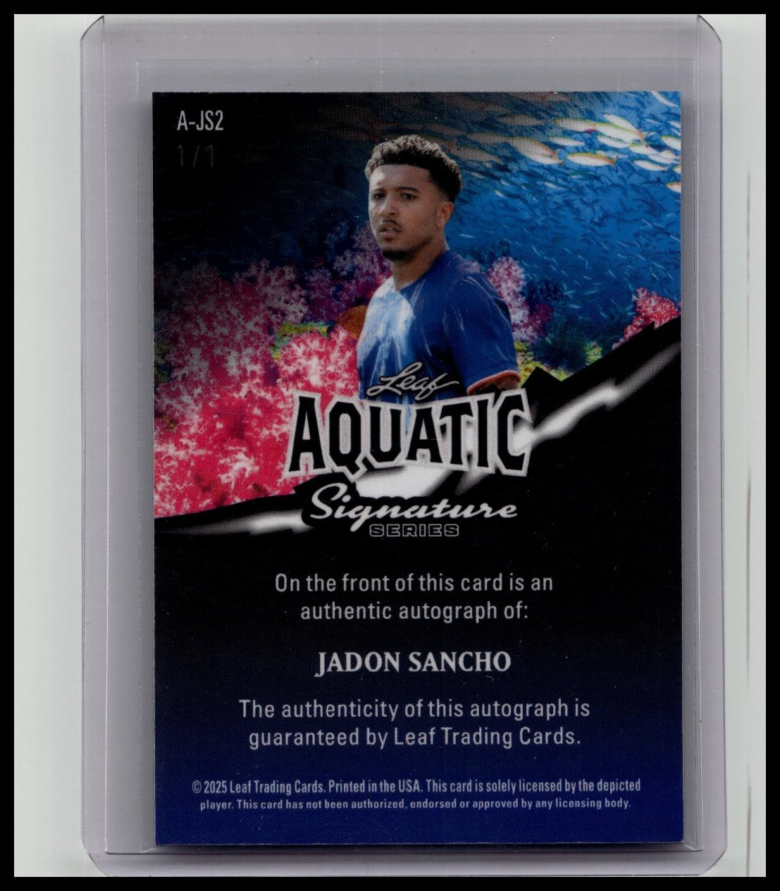 🔥 2024 Panini Prospect Edition Jacob Wilson Auto Purple RC /49 #166 🔥