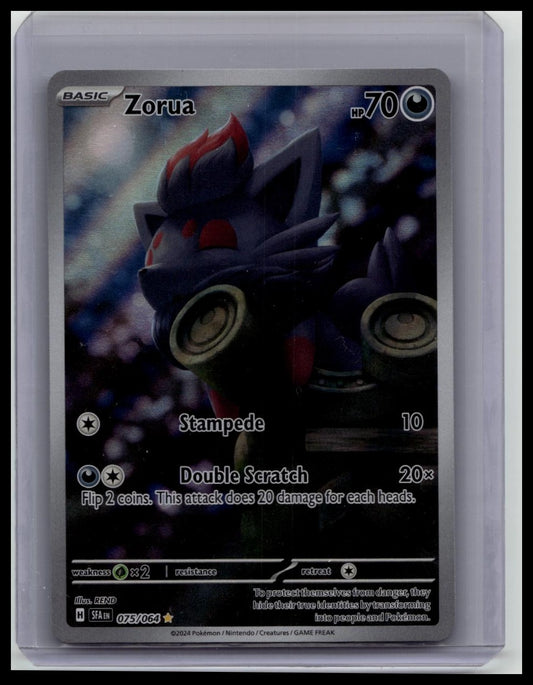 Pokemon TCG Zorua 075/064 Shrouded Fable Illustration Rare Holo Full Art