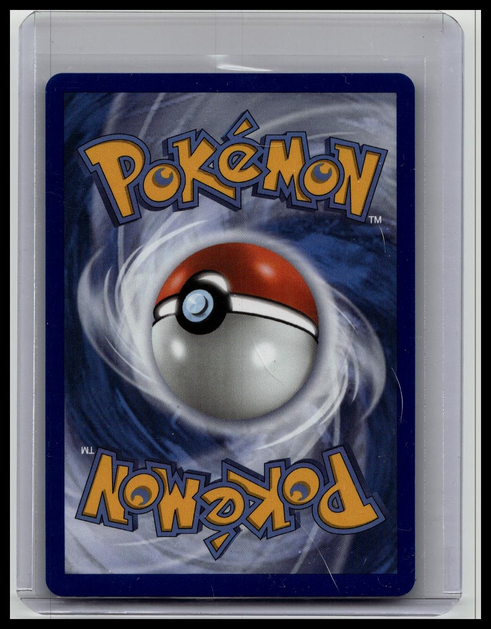 Litten 044 - Pokemon Mega Evolution Black Star Promo Card