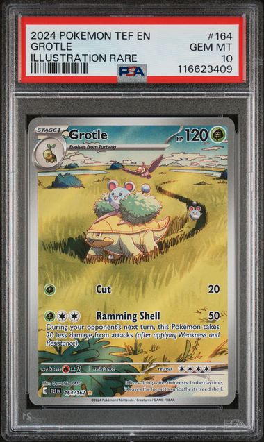 2024 POKEMON TEF EN-TEMPORAL FORCES #164 GROTLE ILLUSTRATION RARE PSA 10