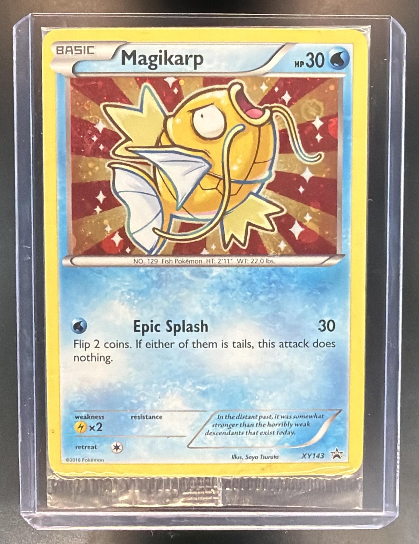 Pokemon XY Promos Magikarp #XY143 2016 — front