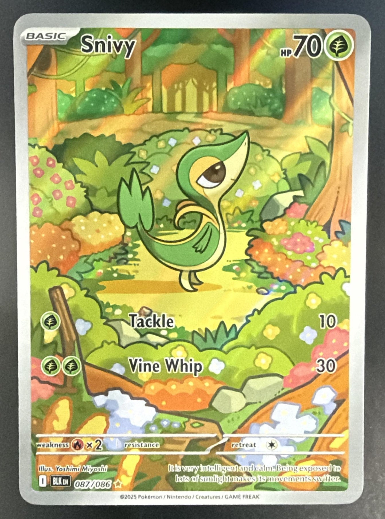 2025 Pokemon Black Bolt Snivy #087/086 Illustration Rare — front